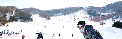 Yangji  Ski resort